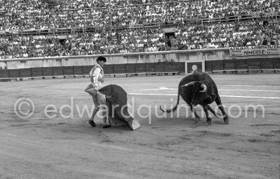 Luis Miguel Dominguin. Corrida Nimes 1960. A bullfight Picasso attended (see "Picasso"). - Photo by Edward Quinn