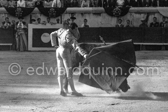 Luis Miguel Dominguin. Nimes 1960. A bullfight Picasso attended (see "Picasso"). - Photo by Edward Quinn