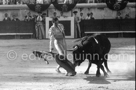 Luis Miguel Dominguin. Nimes 1960. A bullfight Picasso attended (see "Picasso"). - Photo by Edward Quinn