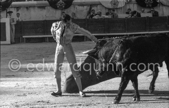 Luis Miguel Dominguin. Corrida Nimes 1960. A bullfight Picasso attended (see "Picasso"). - Photo by Edward Quinn