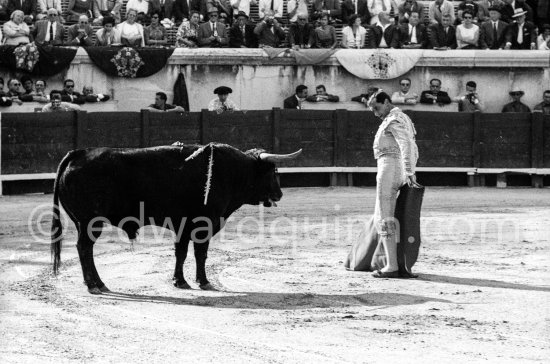 Luis Miguel Dominguin. Nimes 1960. A bullfight Picasso attended (see "Picasso"). - Photo by Edward Quinn