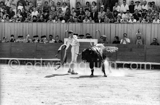 Luis Miguel Dominguin. Nimes 1960. A bullfight Picasso attended (see "Picasso"). - Photo by Edward Quinn