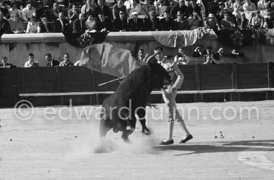 Luis Miguel Dominguin. Nimes 1960. A bullfight Picasso attended (see "Picasso"). - Photo by Edward Quinn