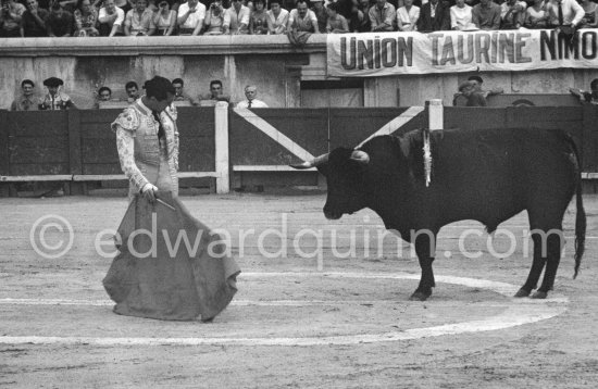 Luis Miguel Dominguin. Nimes 1960. A bullfight Picasso attended (see "Picasso"). - Photo by Edward Quinn