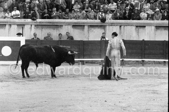 Luis Miguel Dominguin. Nimes 1960. A bullfight Picasso attended (see "Picasso"). - Photo by Edward Quinn