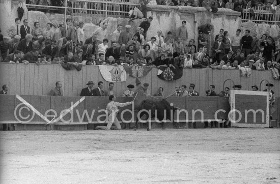 Luis Miguel Dominguin. Nimes 1960. A bullfight Picasso attended (see "Picasso"). - Photo by Edward Quinn