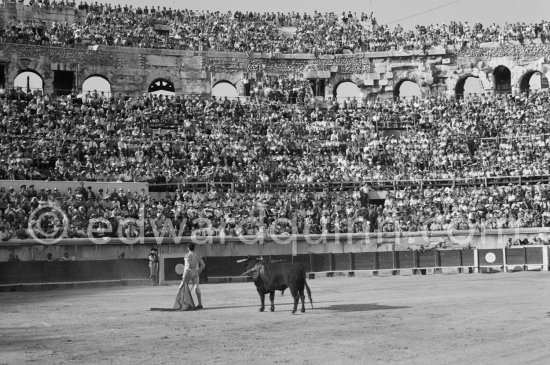 Luis Miguel Dominguin. Nimes 1960. A bullfight Picasso attended (see "Picasso"). - Photo by Edward Quinn