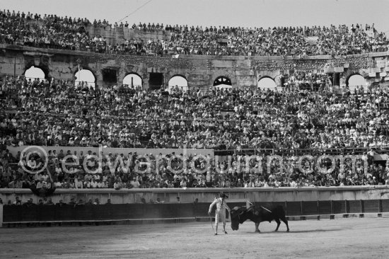 Luis Miguel Dominguin. Nimes 1960. A bullfight Picasso attended (see "Picasso"). - Photo by Edward Quinn