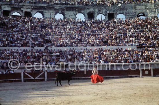 Luis Miguel Dominguin. Nimes 1960. A bullfight Picasso attended (see "Picasso"). - Photo by Edward Quinn