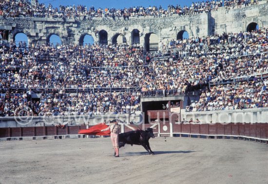 Luis Miguel Dominguin. Nimes 1960. A bullfight Picasso attended (see "Picasso"). - Photo by Edward Quinn