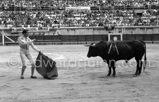 Luis Miguel Dominguin. Nimes 1960. A bullfight Picasso attended (see "Picasso"). - Photo by Edward Quinn