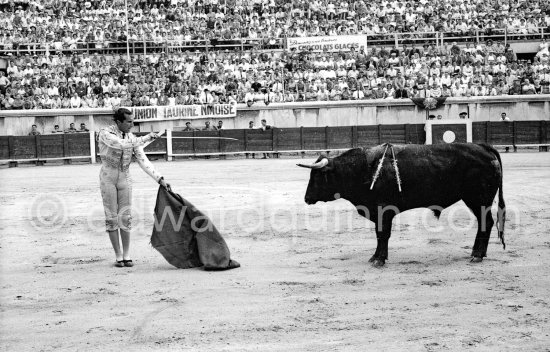 Luis Miguel Dominguin. Corrida Nimes 1960. A bullfight Picasso attended (see "Picasso"). - Photo by Edward Quinn