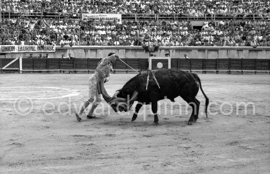 Luis Miguel Dominguin. Nimes 1960. A bullfight Picasso attended (see "Picasso"). - Photo by Edward Quinn