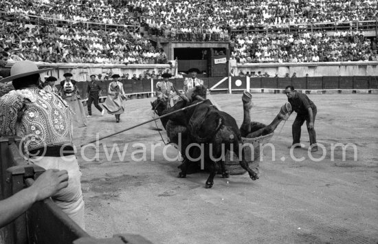 Luis Miguel Dominguin. Nimes 1960. A bullfight Picasso attended (see "Picasso"). - Photo by Edward Quinn