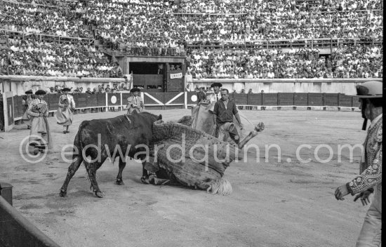 Luis Miguel Dominguin. Nimes 1960. A bullfight Picasso attended (see "Picasso"). - Photo by Edward Quinn