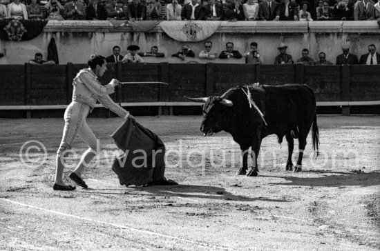 Luis Miguel Dominguin. Corrida Nimes 1960. A bullfight Picasso attended (see "Picasso"). - Photo by Edward Quinn