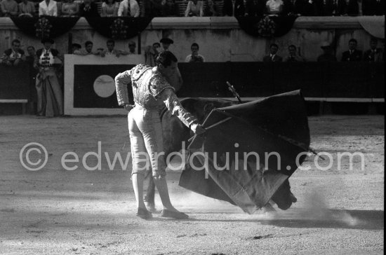 Luis Miguel Dominguin. Corrida Nimes 1960. A bullfight Picasso attended (see "Picasso"). - Photo by Edward Quinn