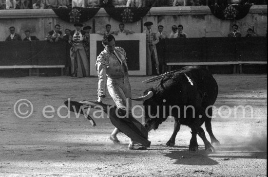 Luis Miguel Dominguin. Corrida Nimes 1960. A bullfight Picasso attended (see "Picasso"). - Photo by Edward Quinn