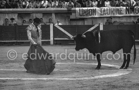 Luis Miguel Dominguin. Nimes 1960. A bullfight Picasso attended (see "Picasso"). - Photo by Edward Quinn