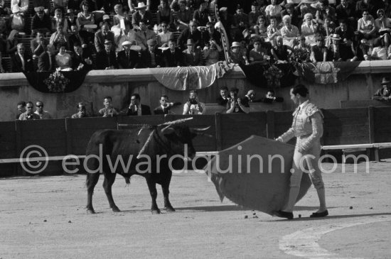 Luis Miguel Dominguin. Nimes 1960. A bullfight Picasso attended (see "Picasso"). - Photo by Edward Quinn