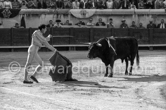 Luis Miguel Dominguin. Nimes 1960. A bullfight Picasso attended (see "Picasso"). - Photo by Edward Quinn