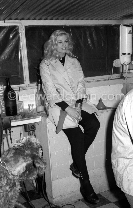 Swedish actress Anita Ekberg at an animal shelter in Nice 1960. - Photo by Edward Quinn