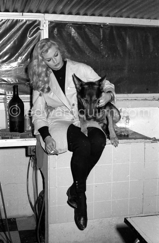 Swedish actress Anita Ekberg at an animal shelter in Nice 1960. - Photo by Edward Quinn