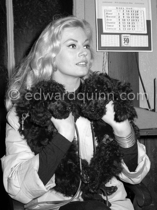 Swedish movie star Anita Ekberg (La dolce vita) with her two Tiny Poodles Jade and Jackson. Nice 1960 - Photo by Edward Quinn