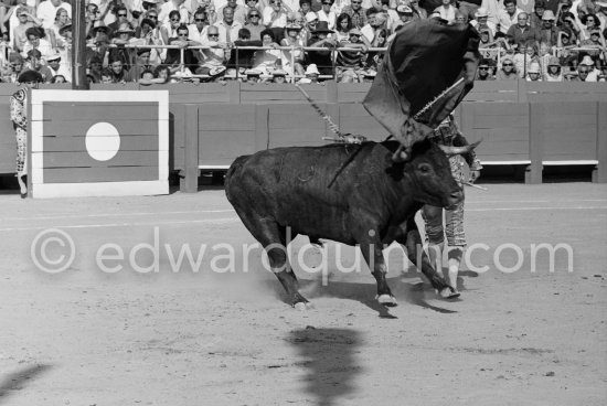 El Cordobés. Fréjus 1965. A bullfight Picasso attended (see "Picasso"). - Photo by Edward Quinn