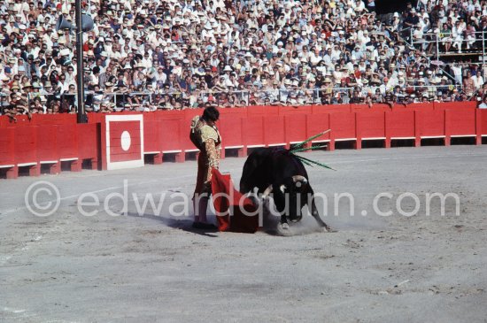 El Cordobés. Fréjus 1965. A bullfight Picasso attended (see "Picasso"). - Photo by Edward Quinn