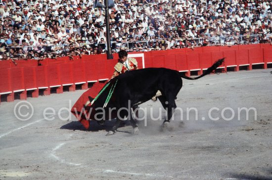 El Cordobés. Fréjus 1965. A bullfight Picasso attended (see "Picasso"). - Photo by Edward Quinn