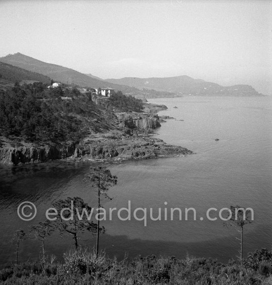 Esterel massif 1951. - Photo by Edward Quinn