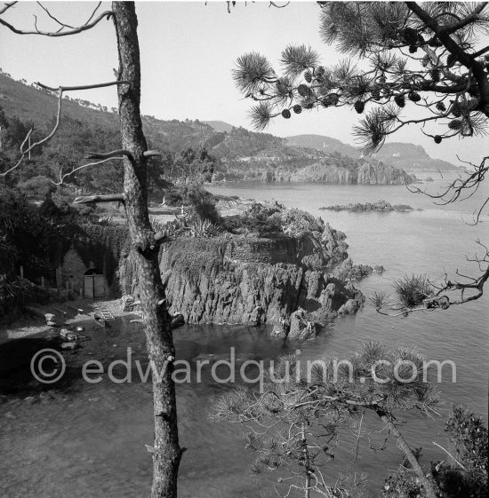 Probably Esterel massif 1951. - Photo by Edward Quinn