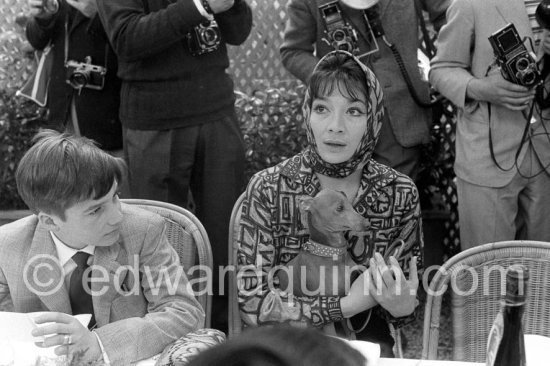 Jean-Pierre Léaud and Juliette Gréco with her dog at the Cannes Film Festival. Cannes 1959. - Photo by Edward Quinn