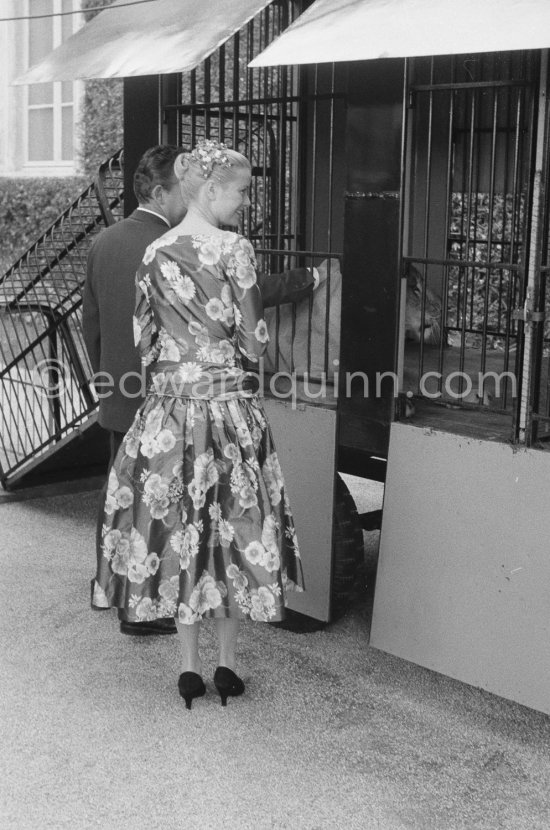 Grace Kelly’s first meeting with Prince Rainier, the man who would become her husband, 1955. To break the ice between two shy people it was decided they should go for a walk in the palace gardens. Prince Rainier brought Grace to his private zoo to show her his latest acquisition, a Bengal tiger. The couple were married in Monaco the following Year. Monaco 1955. - Photo by Edward Quinn