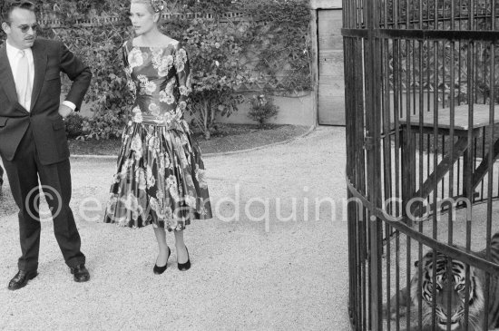 Grace Kelly’s first meeting with Prince Rainier, the man who would become her husband, 1955. To break the ice between two shy people it was decided they should go for a walk in the palace gardens. Prince Rainier brought Grace to his private zoo to show her his latest acquisition, a Bengal tiger. The couple were married in Monaco the following Year. Monaco 1955. - Photo by Edward Quinn