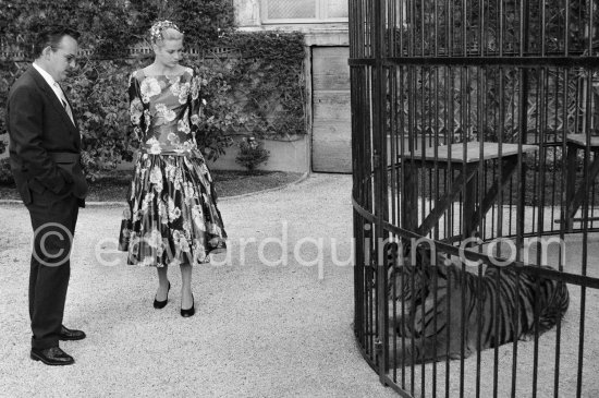 Grace Kelly’s first meeting with Prince Rainier, the man who would become her husband, 1955. To break the ice between two shy people it was decided they should go for a walk in the palace gardens. Prince Rainier brought Grace to his private zoo to show her his latest acquisition, a Bengal tiger. The couple were married in Monaco the following Year. Monaco 1955. - Photo by Edward Quinn