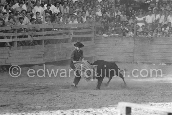 Local Corrida in honor of Picasso. French lady bullfighter Pierrette Le Bourdiec, "La Princesa de París". Vallauris 1955 - Photo by Edward Quinn