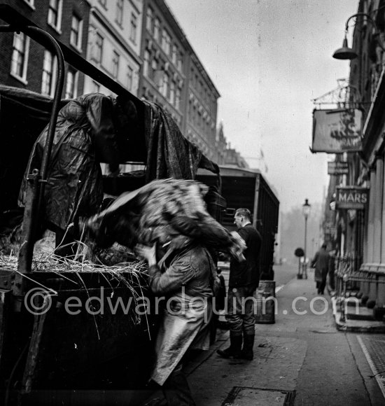 London 1950. - Photo by Edward Quinn