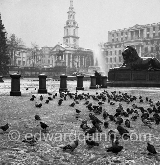 Trafalgar Square. London 1950 - Photo by Edward Quinn