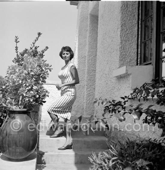 Sophia Loren on holiday in Saint-Tropez 1963. - Photo by Edward Quinn