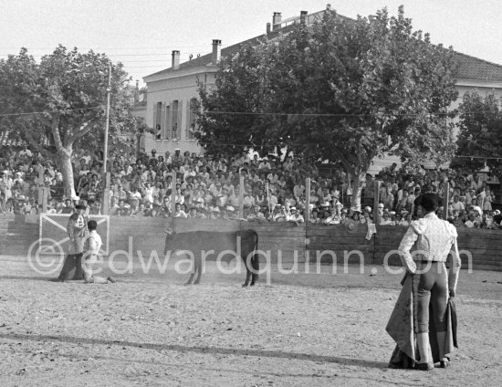 Bullfighter Pepe Luis Luis Marca. Local Corrida in honor of Picasso. Vallauris 1954. A bullfight Picasso attended (see "Picasso"). - Photo by Edward Quinn