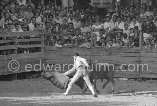 Bullfighter Pepe Luis Marca. Local Corrida in honor of Picasso. Vallauris 1954. A bullfight Picasso attended (see "Picasso"). - Photo by Edward Quinn