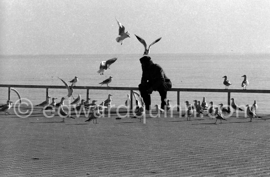 Man with seagulls on the Promenade des Anglais, Nice 1958. - Photo by Edward Quinn