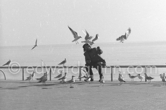 Man with seagulls on the Promenade des Anglais, Nice 1958. - Photo by Edward Quinn