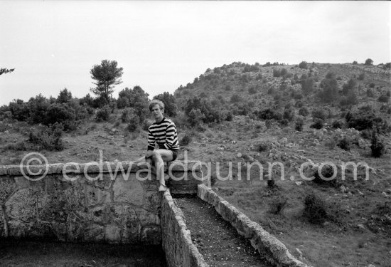 Rudolf Nureyev, Soviet dancer of ballet and modern dance at his mansion above Monte Carlo. La Turbie 1963. - Photo by Edward Quinn