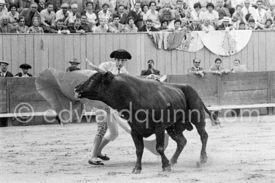 Antonio Ordóñez, a leading bullfighter in the 1950\'s and the last survivor of the dueling matadors chronicled by Hemingway in \'\'The Dangerous Summer\'\'. Corrida des vendanges à Arles 1959. A bullfight Picasso attended (see "Picasso"). - Photo by Edward Quinn