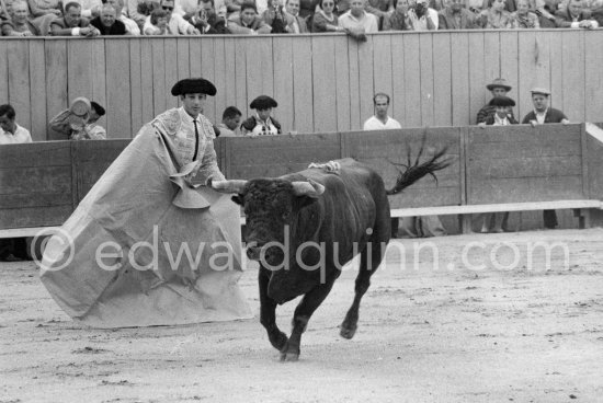 Antonio Ordóñez, a leading bullfighter in the 1950\'s and the last survivor of the dueling matadors chronicled by Hemingway in \'\'The Dangerous Summer\'\'. Corrida des vendanges à Arles 1959. A bullfight Picasso attended (see "Picasso"). - Photo by Edward Quinn