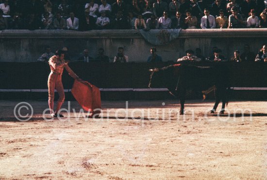 Antonio Ordóñez, a leading bullfighter in the 1950\'s and the last survivor of the dueling matadors chronicled by Hemingway in \'\'The Dangerous Summer\'\'. Corrida des vendanges à Arles 1959. A bullfight Picasso attended (see "Picasso"). - Photo by Edward Quinn