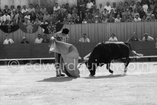 Antonio Ordóñez. Arles 1960. A bullfight Picasso attended (see "Picasso"). - Photo by Edward Quinn
